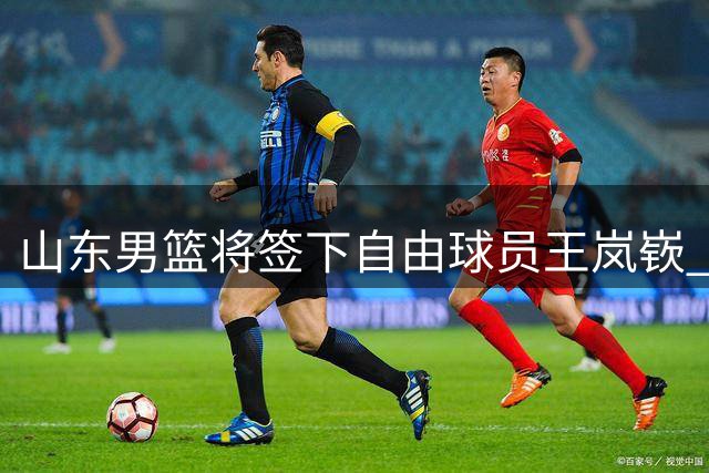 山东男篮将签下自由球员王岚嵚 多方交易促成国手回归故里