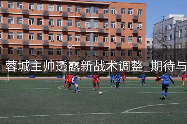 蓉城主帅透露新战术调整 期待与浙江队交锋