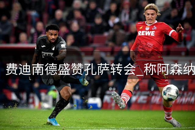 费迪南德盛赞孔萨转会 称阿森纳英超卫冕希望大增