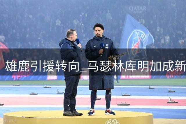 雄鹿引援转向 马瑟林库明加成新目标